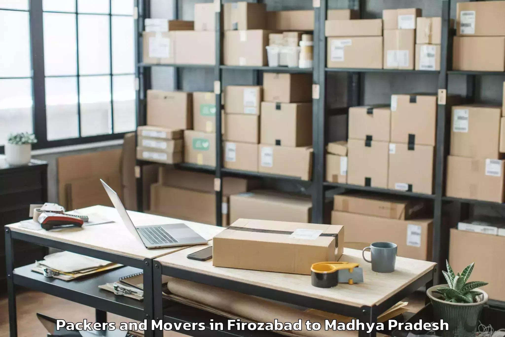 Expert Firozabad to Bichhua Packers And Movers